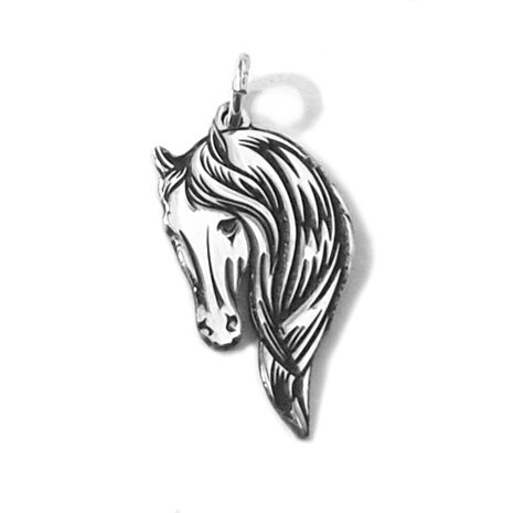zilveren paardenhoofd hanger