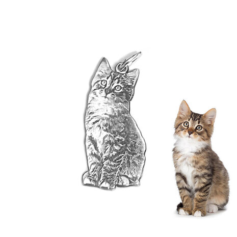 zilveren hanger van foto eigen kat